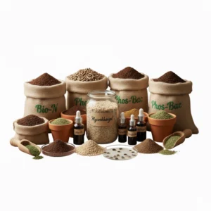 Bio Fertilizers